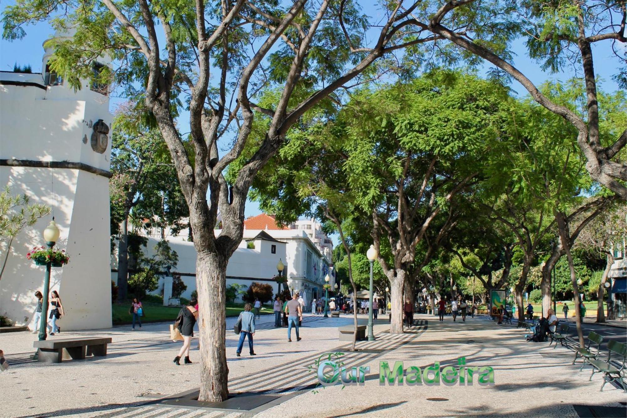 Apartamento Ourmadeira - Heart Of Old Town I Funchal  Exterior foto
